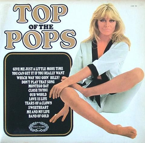 Unknown Artist - Top Of The Pops Vol.13 - Used Vinyl Record image 1