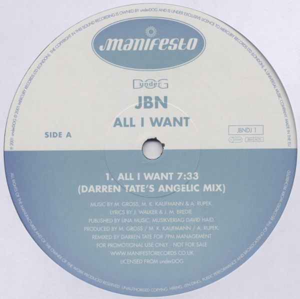 JBN - All I Want - Used Vinyl Record 12" image 1
