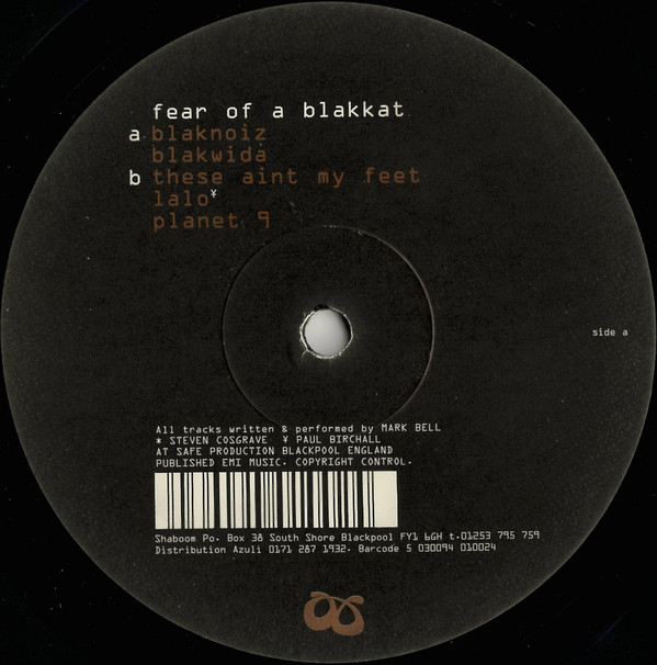 Fear Of A Blakkat