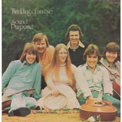 Sound Purpose - Twinkling Of An Eye - Used Vinyl Record image 1