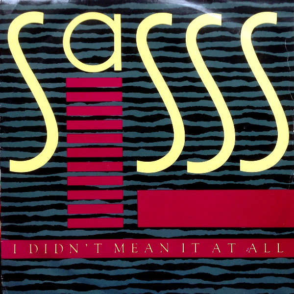 Sasss - I Didn't Mean It At All - Used Vinyl Record 12" image 1