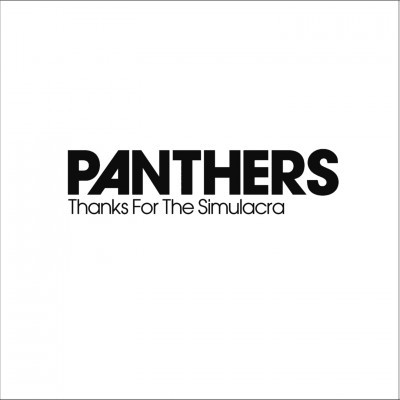 Panthers - Thanks For The Simulacra - Used Vinyl Record 12" image 1