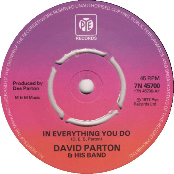 David Parton - In Everything You Do - Used Vinyl Record 7" image 1