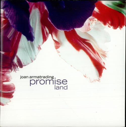 Joan Armatrading - Promise Land - Used Vinyl Record 7" image 1