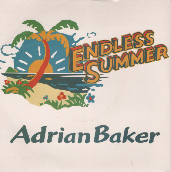 Adrian Baker - Endless Summer - Used Vinyl Record 7" image 1