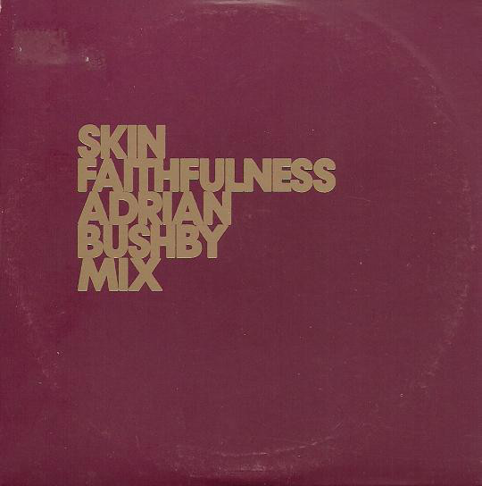 Faithfulness (Adrian Bushby Mix)