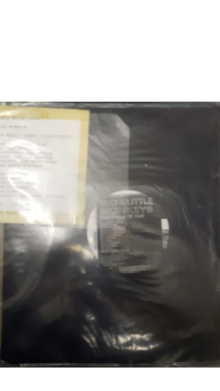 God's Little Monkeys - New Maps Of Hell - Used Vinyl Record image 1