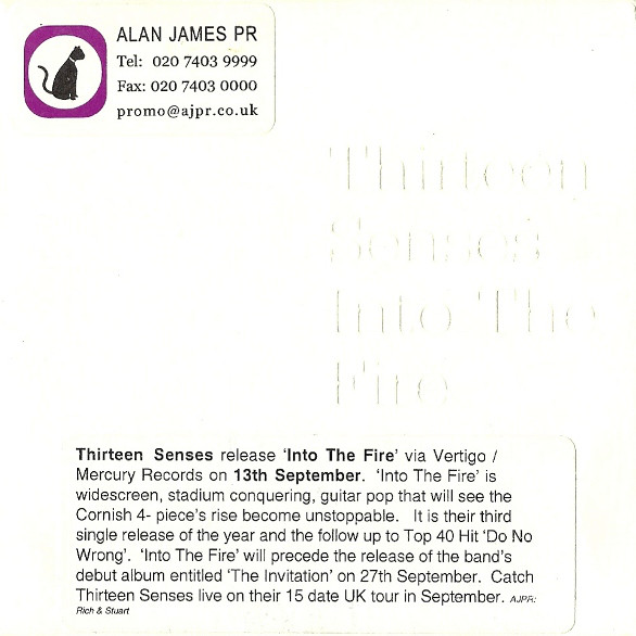 Thirteen Senses - Into The Fire - Used CD image 1