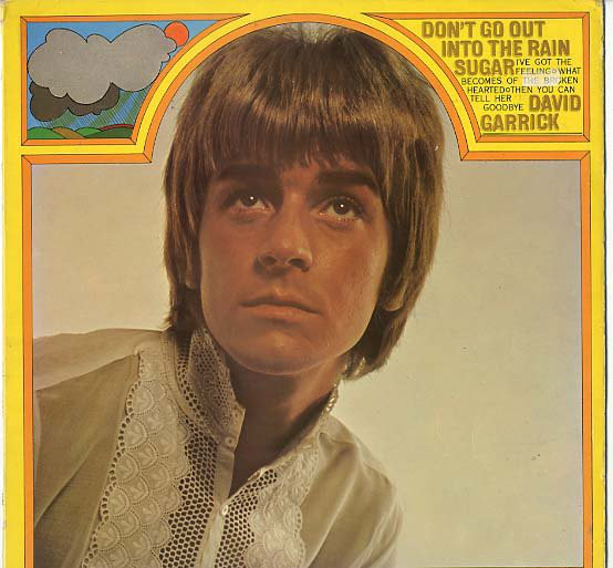 David Garrick - Don't Go Out Into The Rain - Used Vinyl Record image 1