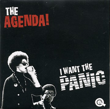 Agenda - I Want The Panic - Used Vinyl Record 7" image 1