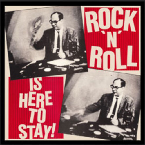 Various - Rock 'N' Roll Is Here To Stay - Used Vinyl Record image 1
