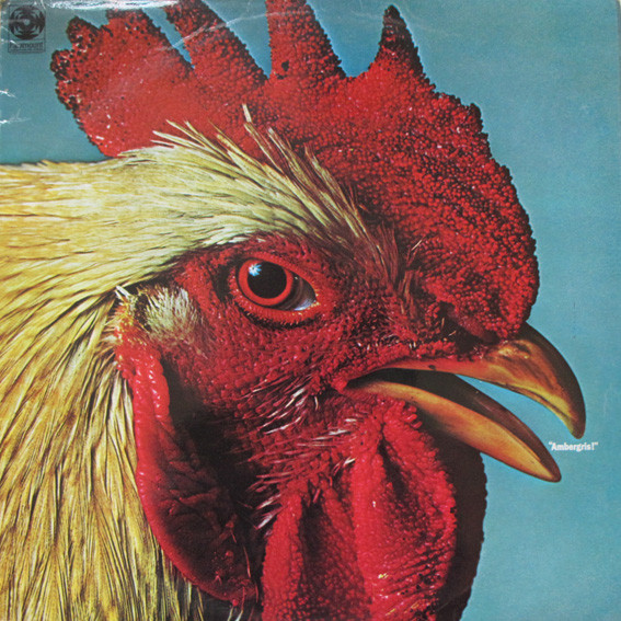 Ambergris - Used Vinyl Record image 1
