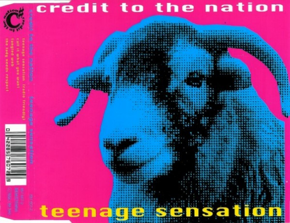 Credit To The Nation - Teenage Sensation - Used CD image 1