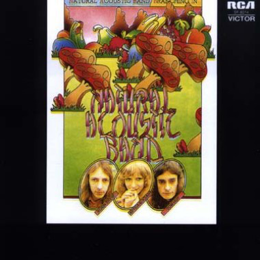 Natural Acoustic Ban - Branching In - Used Vinyl Record image 1