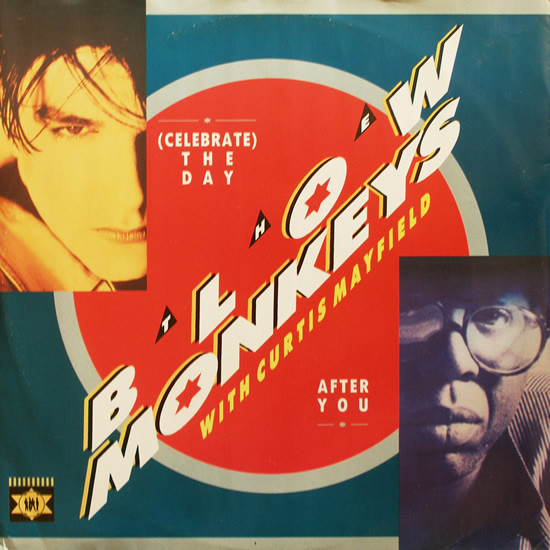 Blow Monkeys - (Celebrate) The Day After You - Used Vinyl Record 12" image 1