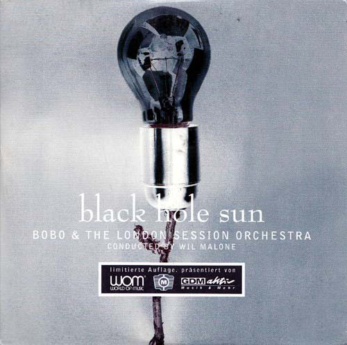 Black Hole Sun