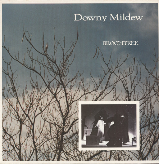 Downy Mildew - Broomtree - Used Vinyl Record image 1