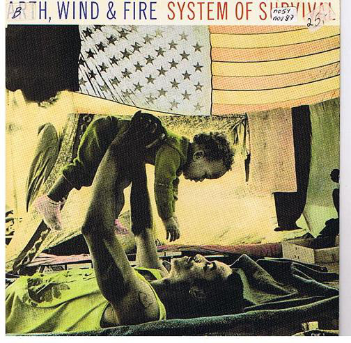 Earth - System Of Survival - Used Vinyl Record 7" image 1