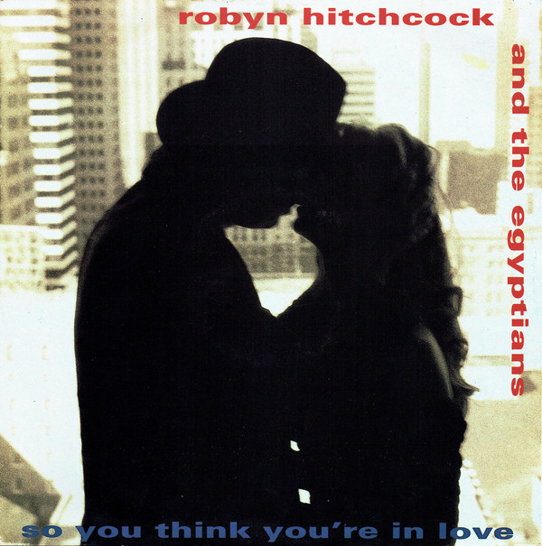 Robyn Hitchcock & Th - So You Think You're In Love - Used Vinyl Record image 1