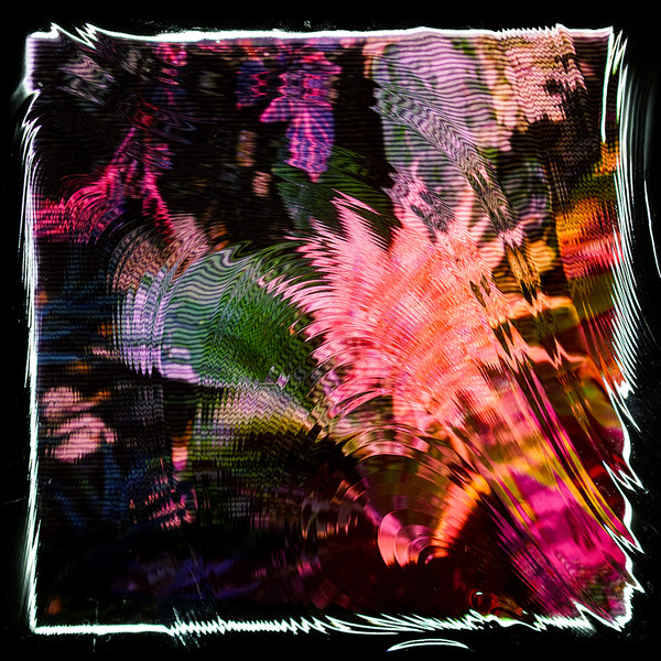 Camila Fuchs - Kids Talk Sun - Vinyl Record image 1