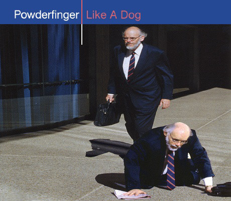 Powderfinger - Like A Dog - Used CD image 1