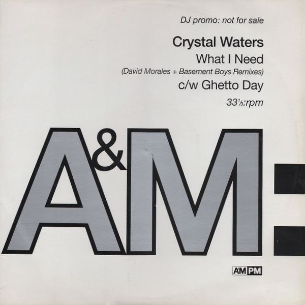 Crystal Waters - What I Need (David Morales + Basement Boys Remi image 1
