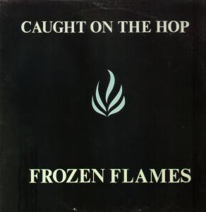 Caught On The Hop - Frozen Flames - Used Vinyl Record image 1