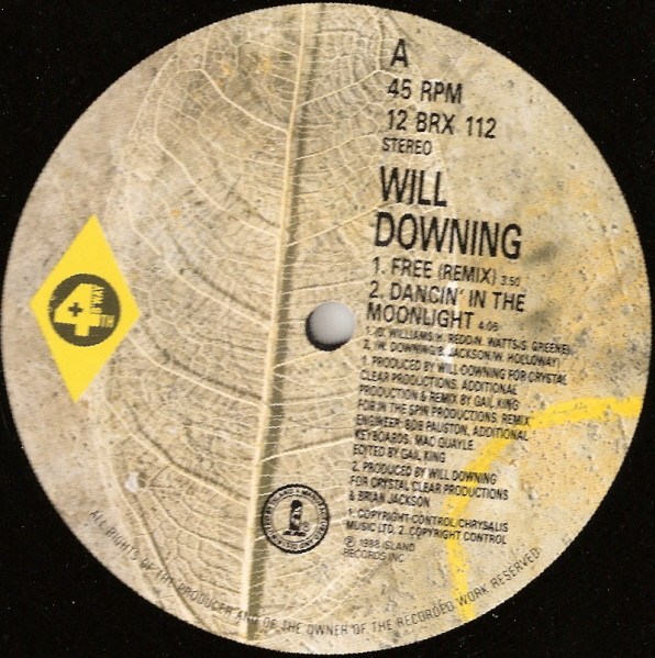 Will Downing - Free (The 'Freemix' E.P.) - Used Vinyl Record 12" image 1