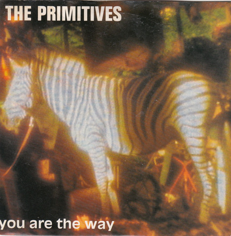 Primitives - You Are The Way - Used Vinyl Record 7" image 1