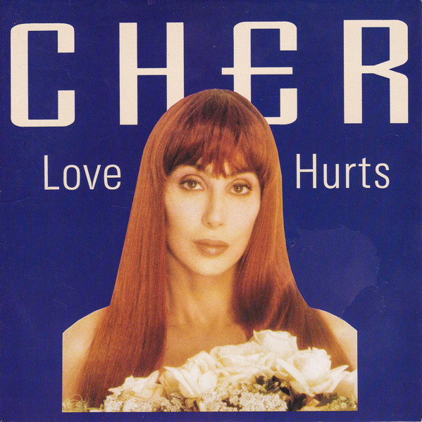 Cher - Love Hurts - Used Vinyl Record 7" image 1