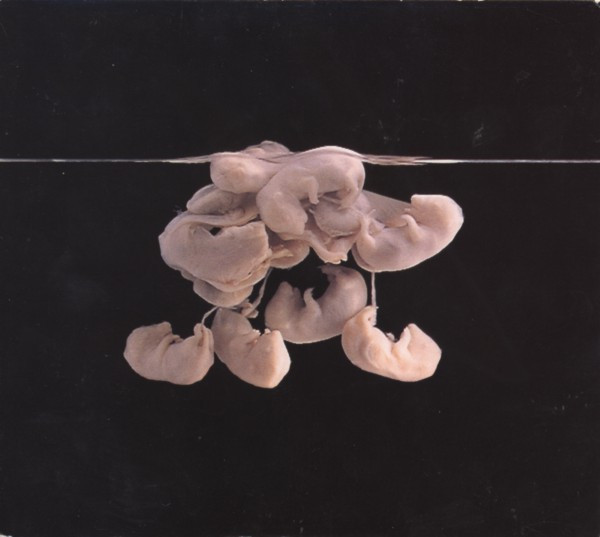 Scheer - Wish You Were Dead - Used CD image 1