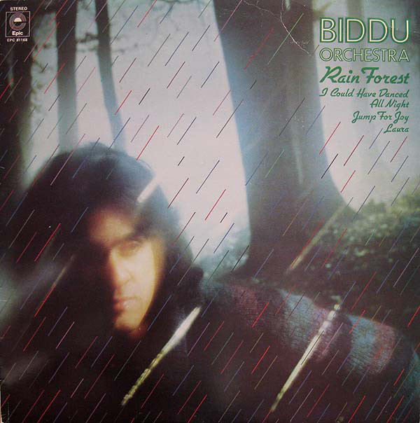 Biddu Orchestra - Rain Forest - Used Vinyl Record image 1