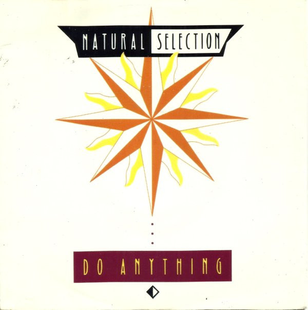 Natural Selection - Do Anything - Used Vinyl Record 7" image 1