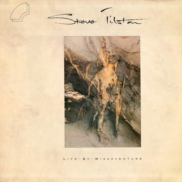 Steve Tilston - Life By Misadventure - Used Vinyl Record image 1