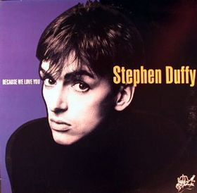 Stephen Duffy - Because We Love You - Used Vinyl Record image 1