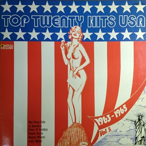 Various - Top Twenty Hits USA 1963-1965 Vol. 5 - Used Vinyl Record image 1