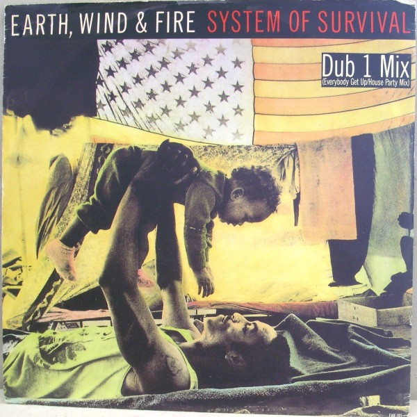 Earth - System Of Survival - Used Vinyl Record 12" image 1