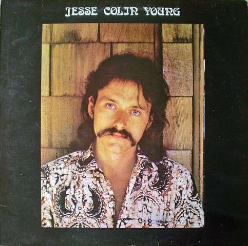 Jesse Colin Young - Song For Juli - Used Vinyl Record image 1