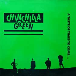 Chinchilla Green - A Taste Of Times To Come... - Used Vinyl Record 12" image 1