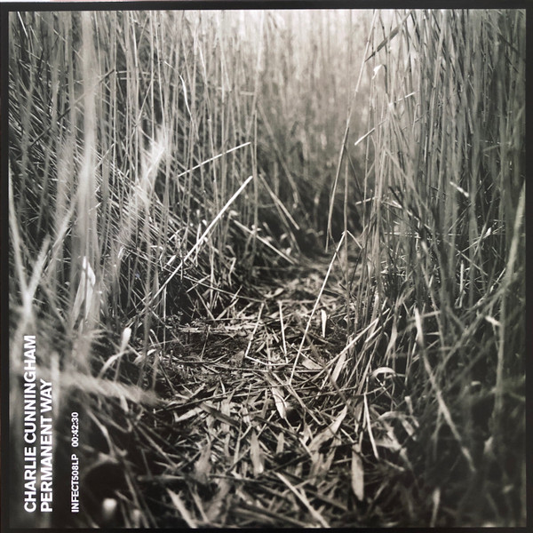 Charlie Cunningham - Permanent Way - Used Vinyl Record image 1
