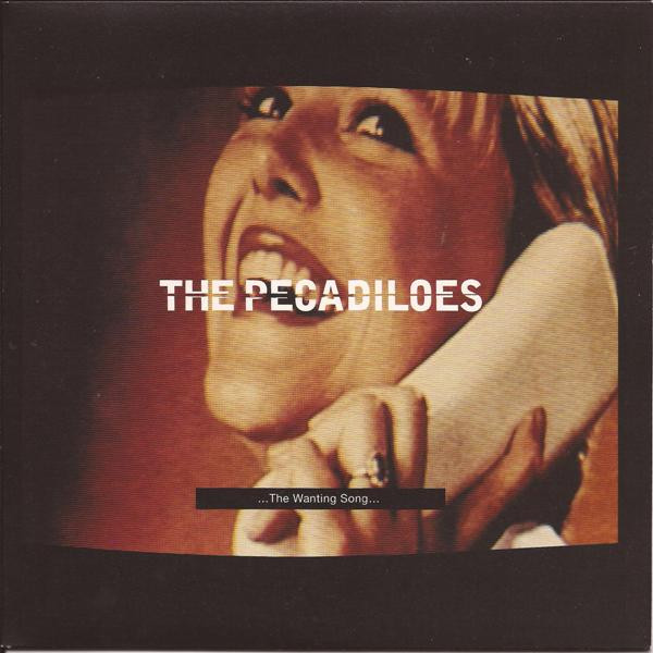 Pecadiloes - Wanting Song - Used Vinyl Record 7" image 1