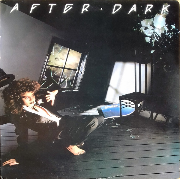 Various - After Dark - Used Vinyl Record image 1