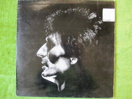 Chris Reeves - A Brief Glimpse Of What's To Come - Used Vinyl Record image 1