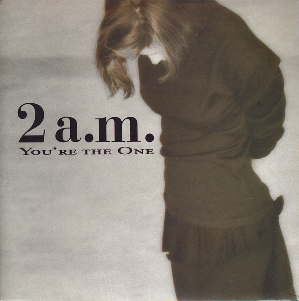 2AM - You're The One - Used Vinyl Record 7"