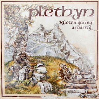 Plethyn - Rhown Garreg Ar Garreg - Used Vinyl Record image 1