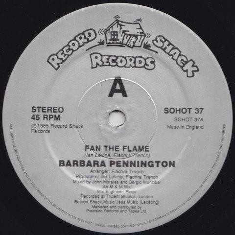 Barbara Pennington - Fan The Flame - Used Vinyl Record 12" image 1