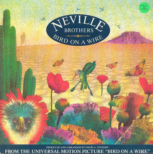 Neville Brothers - Bird On A Wire - Used Vinyl Record 12" image 1