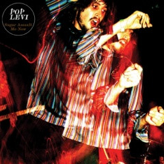 Pop Levi - Sugar Assault Me Now - Used CD image 1