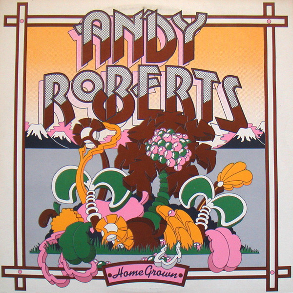 Andy Roberts - Home Grown - Used Vinyl Record image 1