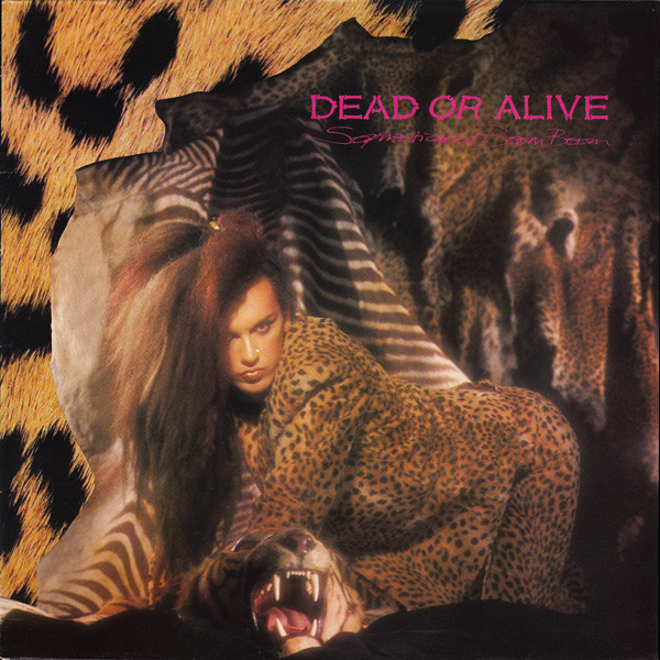 Dead Or Alive - Sophisticated Boom Boom - Used Vinyl Record image 1